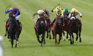 irish derby winners|Timeform's top.